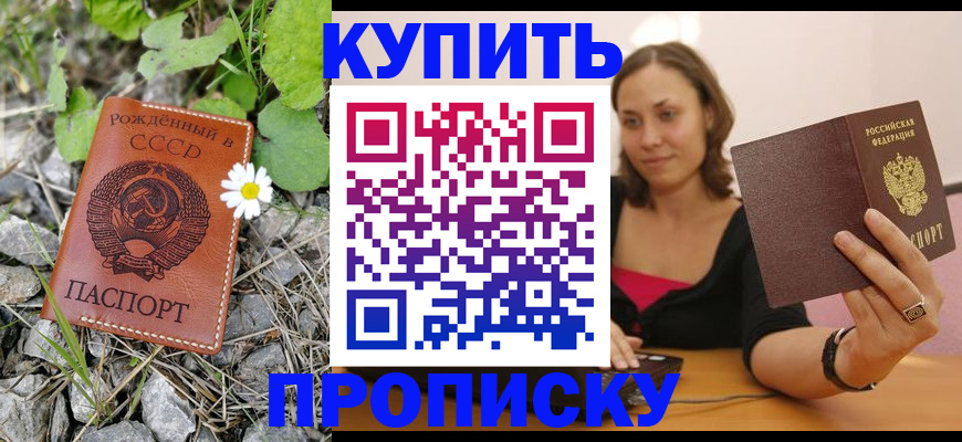 прописка поиск в Сыктывкаре
